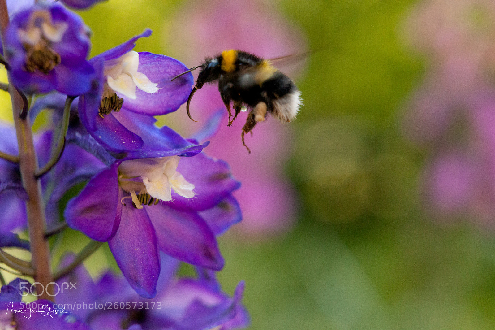 Canon EOS 5D Mark II sample photo. Ravitaillement en vol. photography