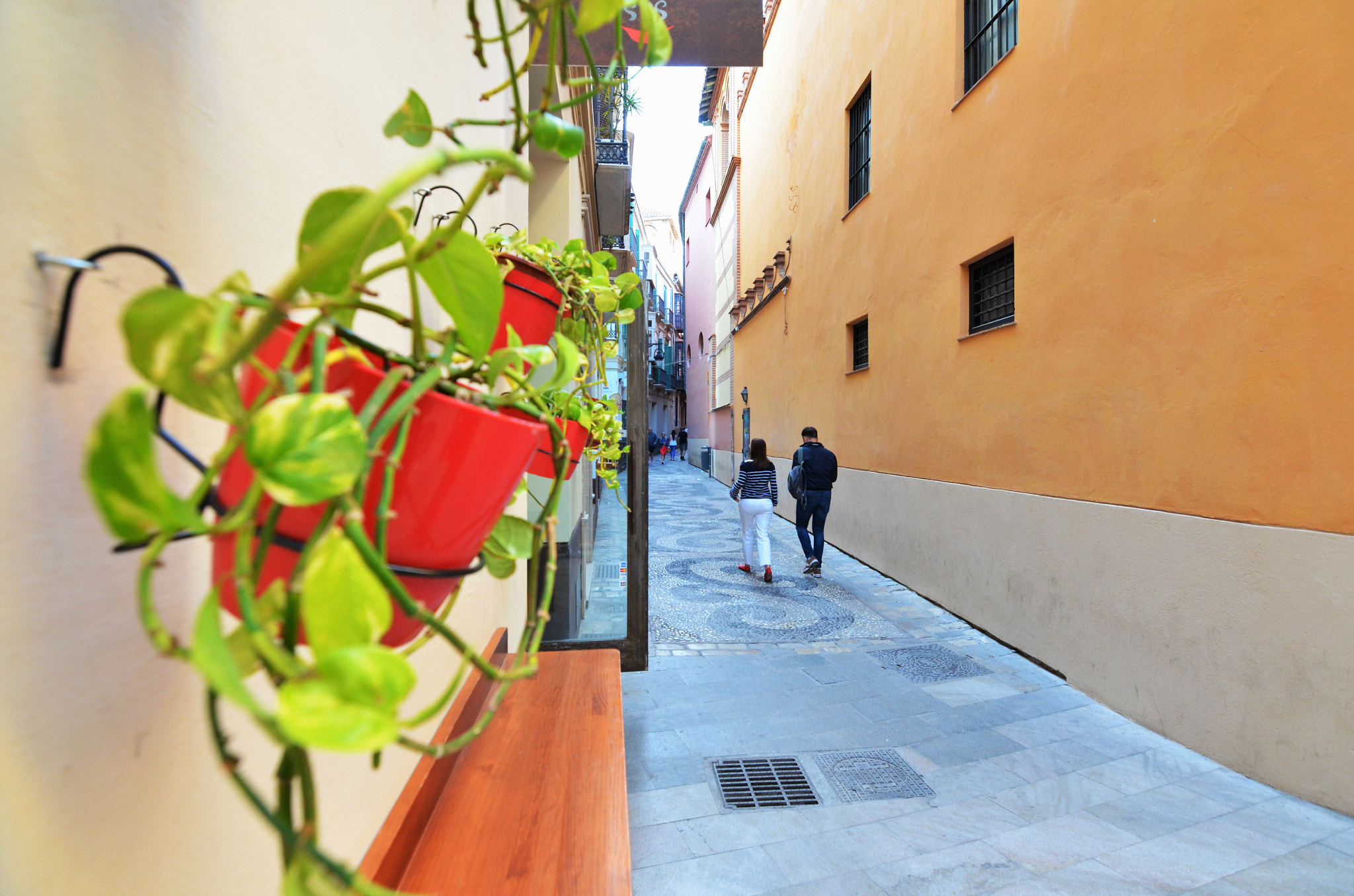 Nikon D5100 sample photo