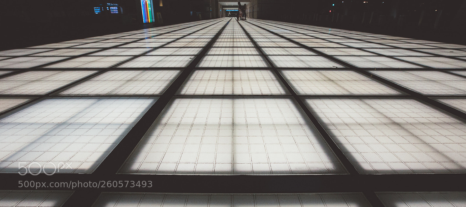 Canon EOS 6D sample photo. Follow the way of photography