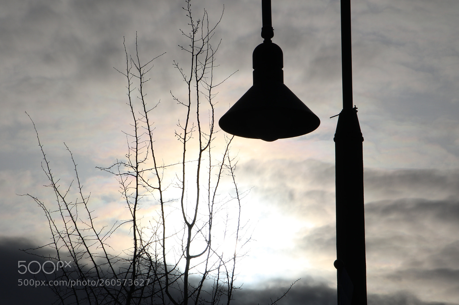 Canon EOS 7D Mark II sample photo. Untitled photography