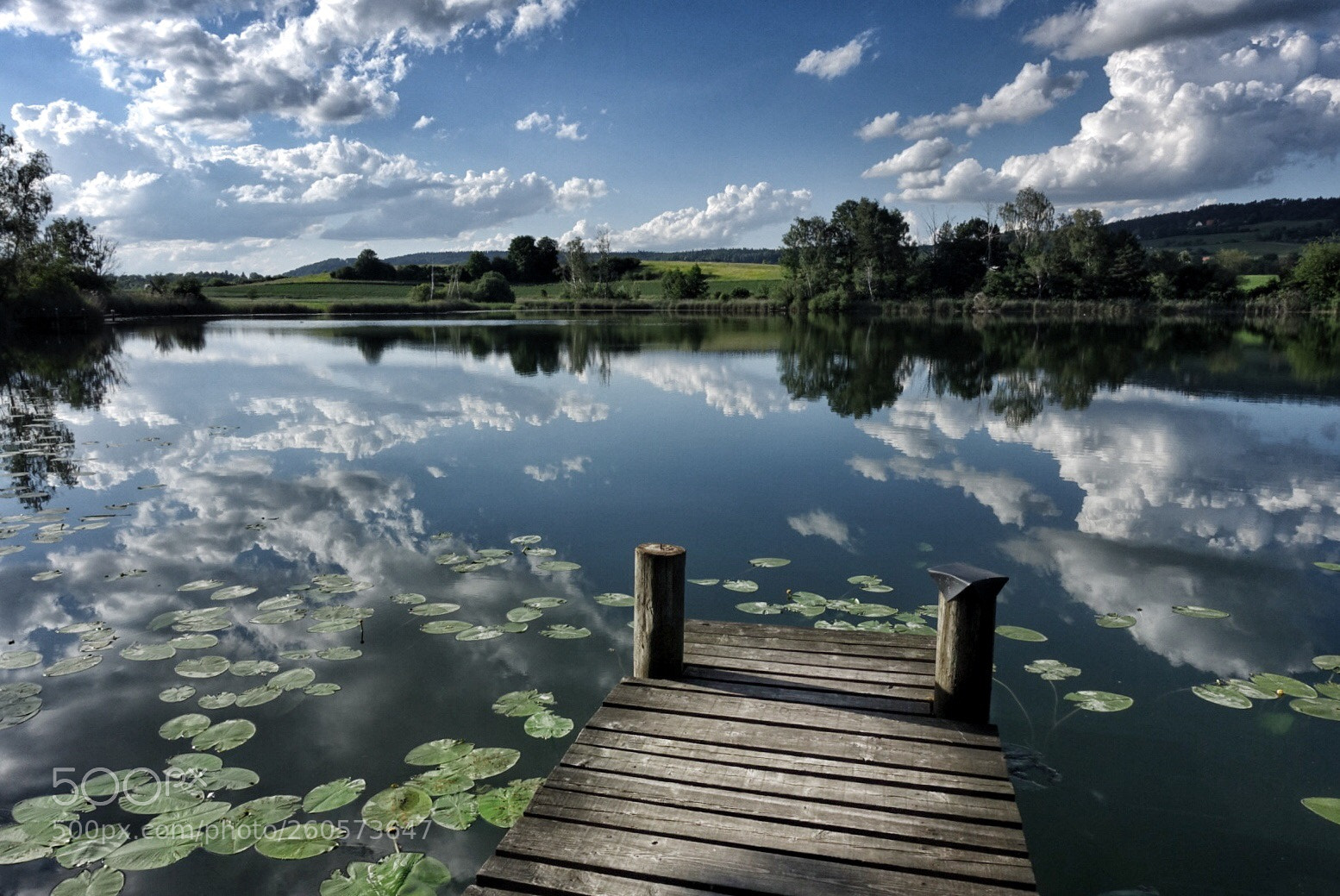 Sony Cyber-shot DSC-RX100 III sample photo. Pond photography