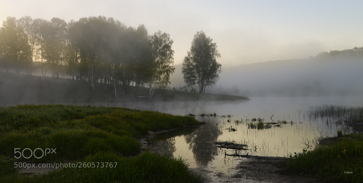 Nikon D600 sample photo. Morning photography