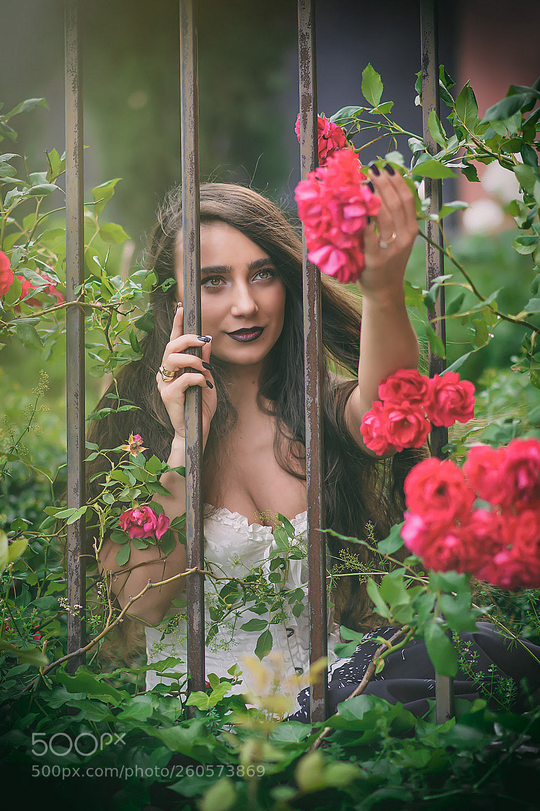 Nikon D7100 sample photo. Lady with red rose photography
