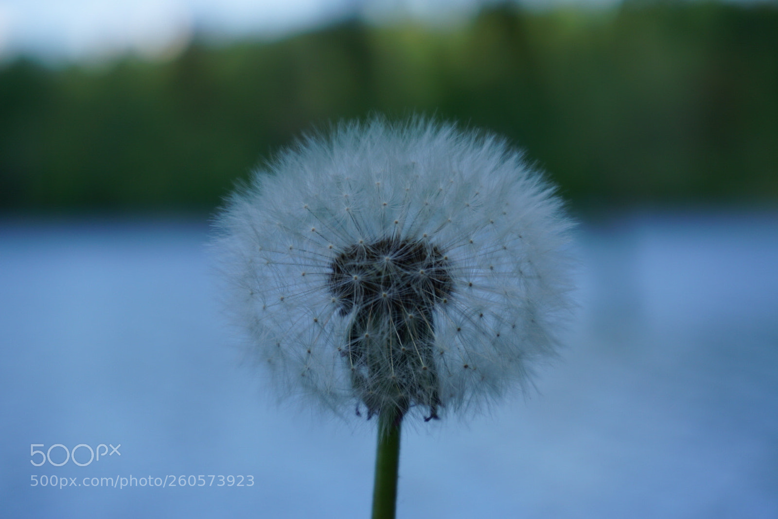 Sony a6000 sample photo. Untitled photography