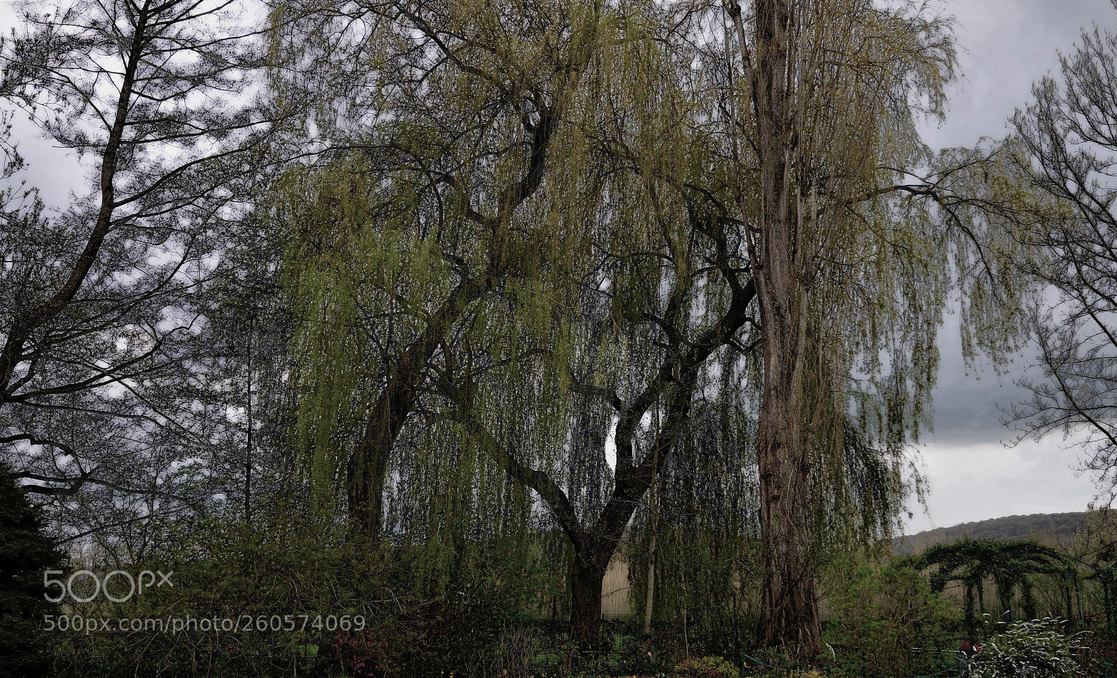 Nikon D300 sample photo. A day of sorrow photography