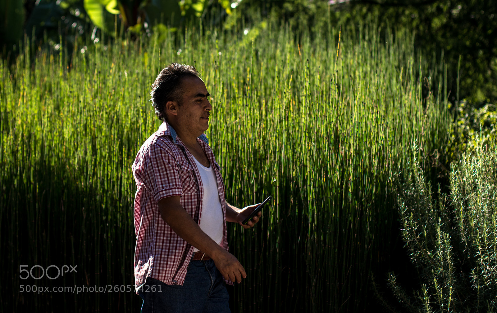 Canon EOS 80D sample photo. Untitled photography