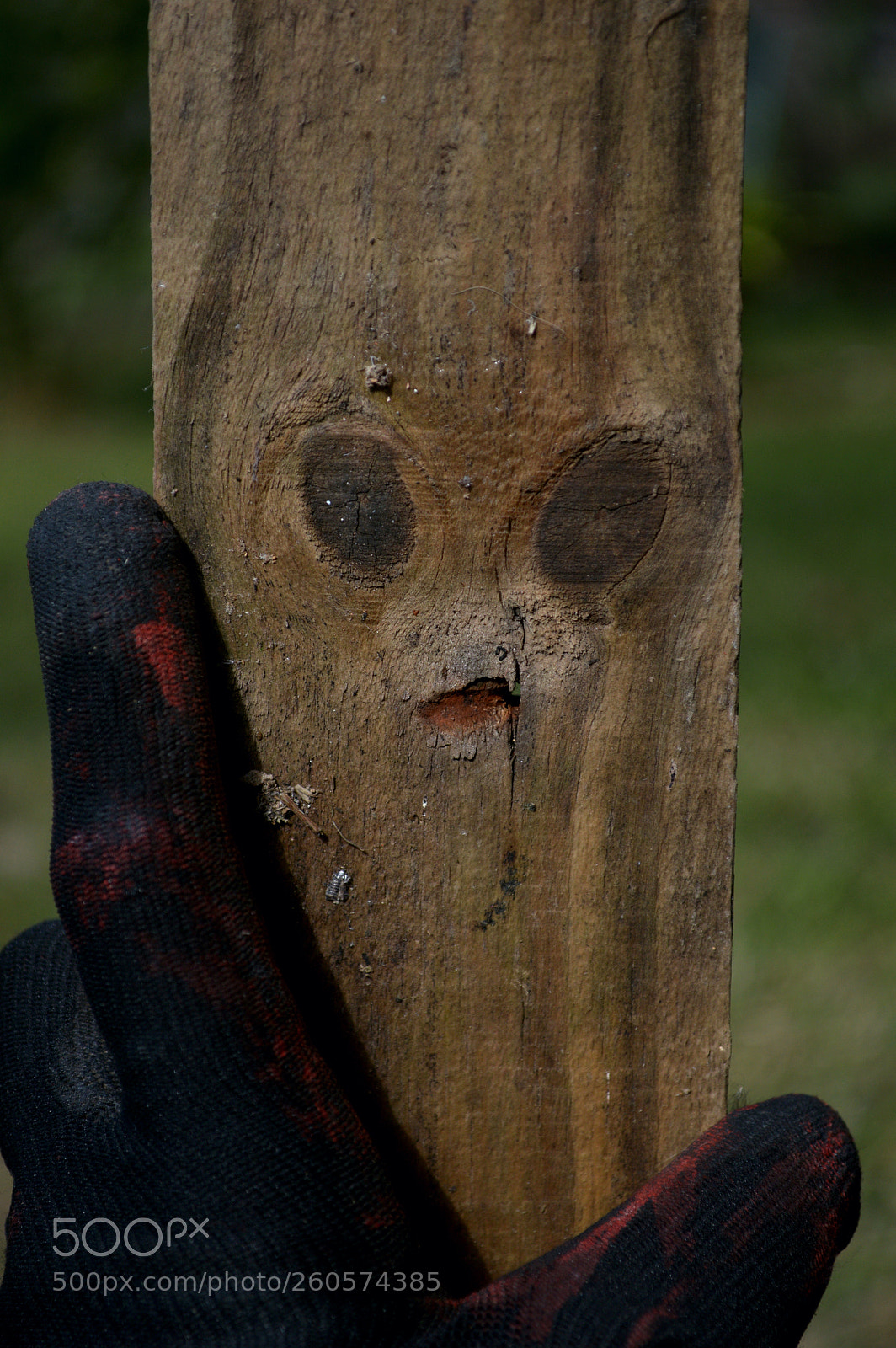 Nikon D3200 sample photo. See who i found photography