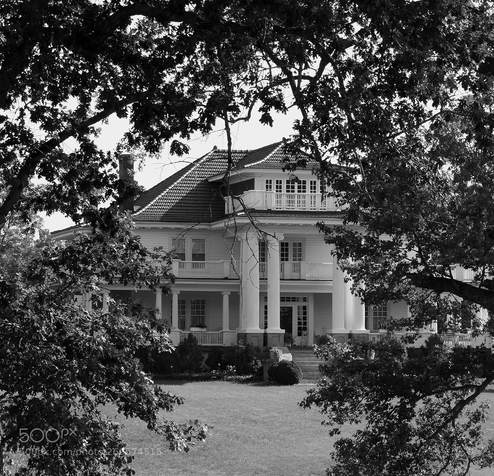 Canon EOS 400D (EOS Digital Rebel XTi / EOS Kiss Digital X) sample photo. Dinwiddie mansion photography