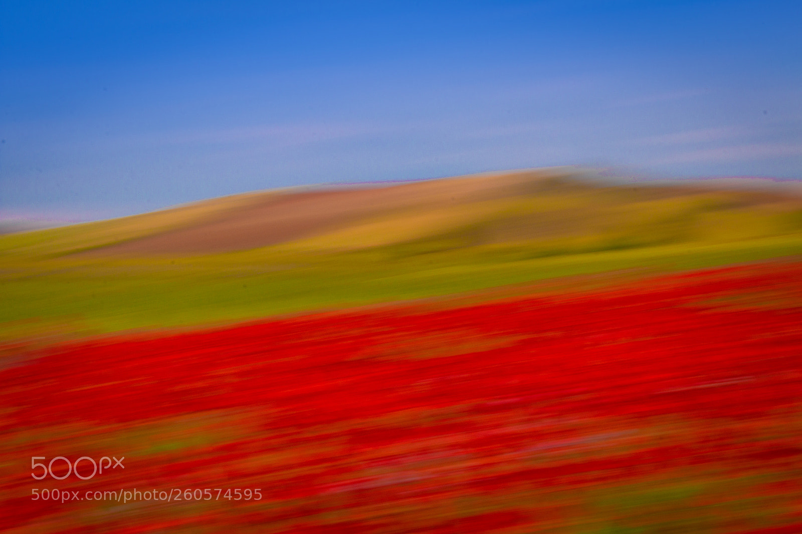 Canon EOS 70D sample photo. Campo de amapolas photography