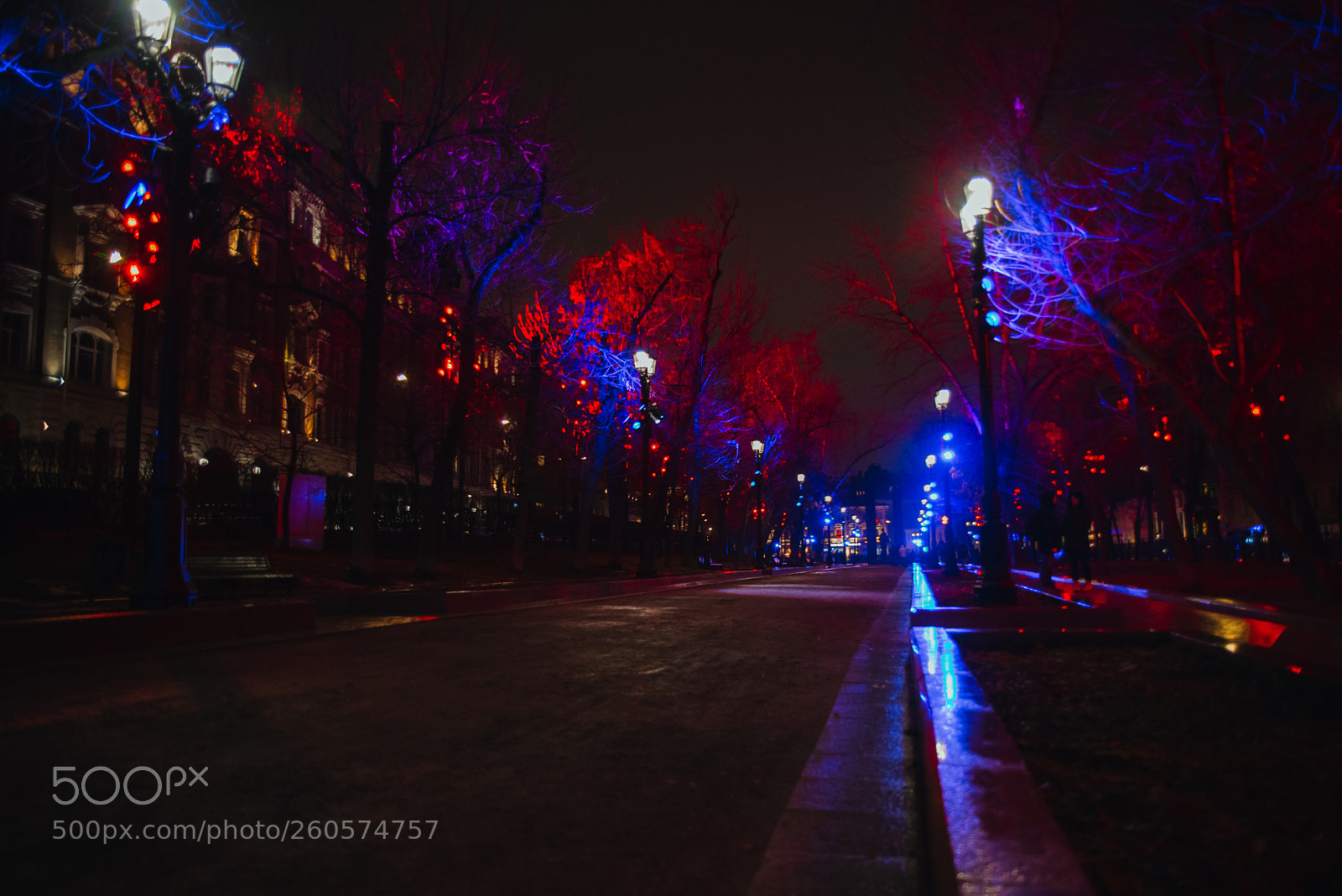 Nikon D800 sample photo. Moscow boulevards photography