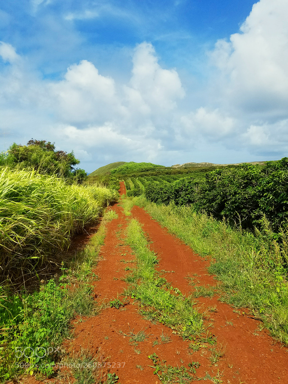 Samsung Galaxy S7 Edge sample photo. Kauai hawaii hike #2 photography