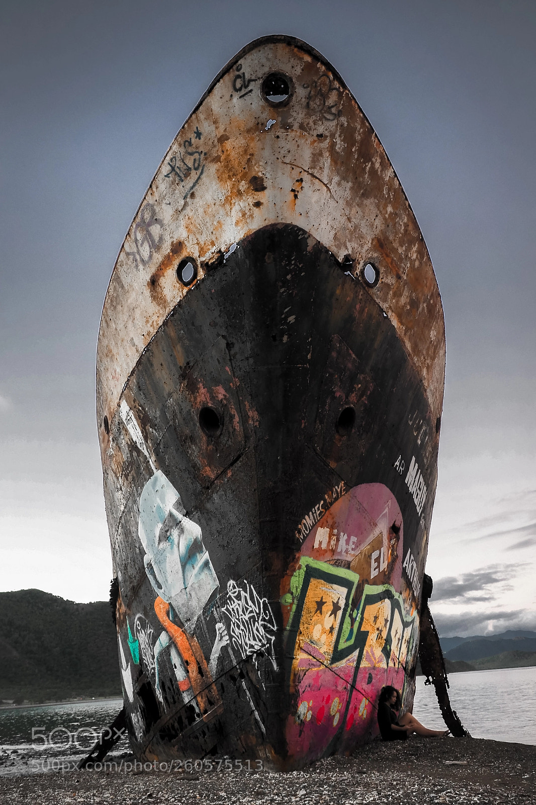 Olympus OM-D E-M10 II sample photo. Shipwreck photography