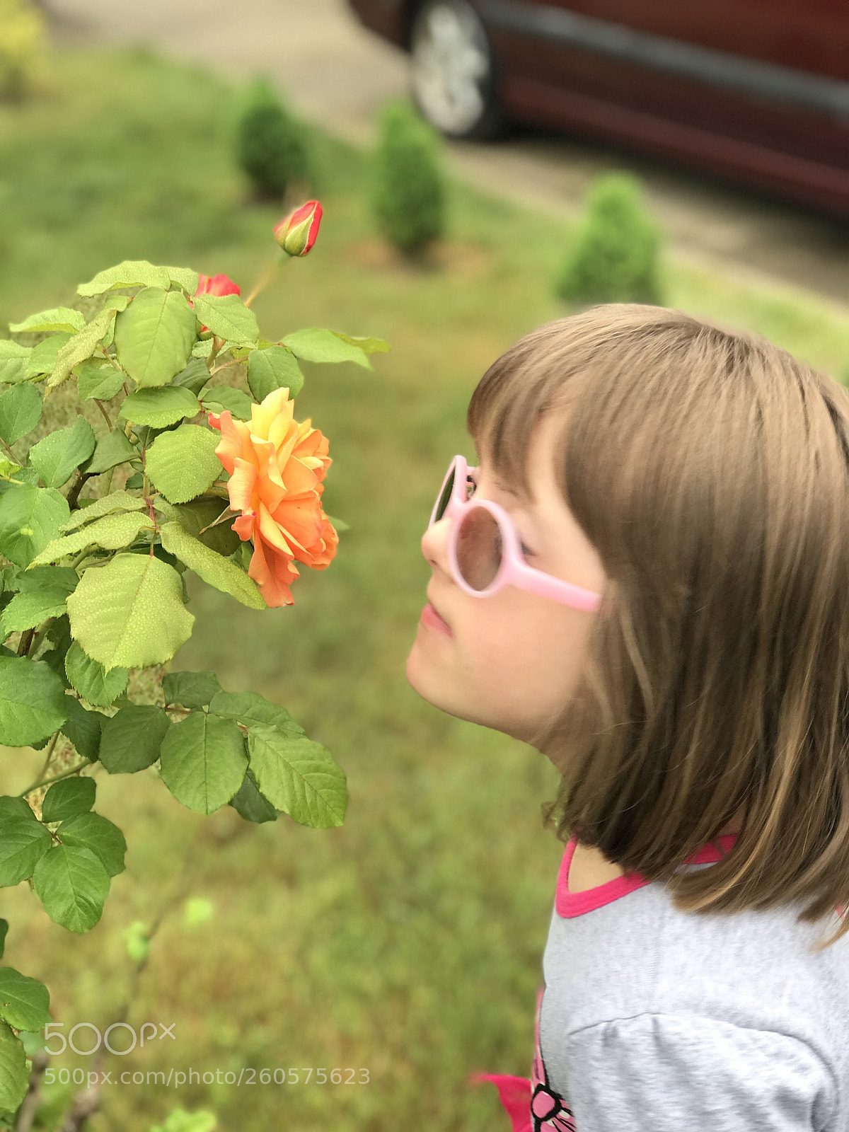 Apple iPhone 7 Plus sample photo. Take time photography