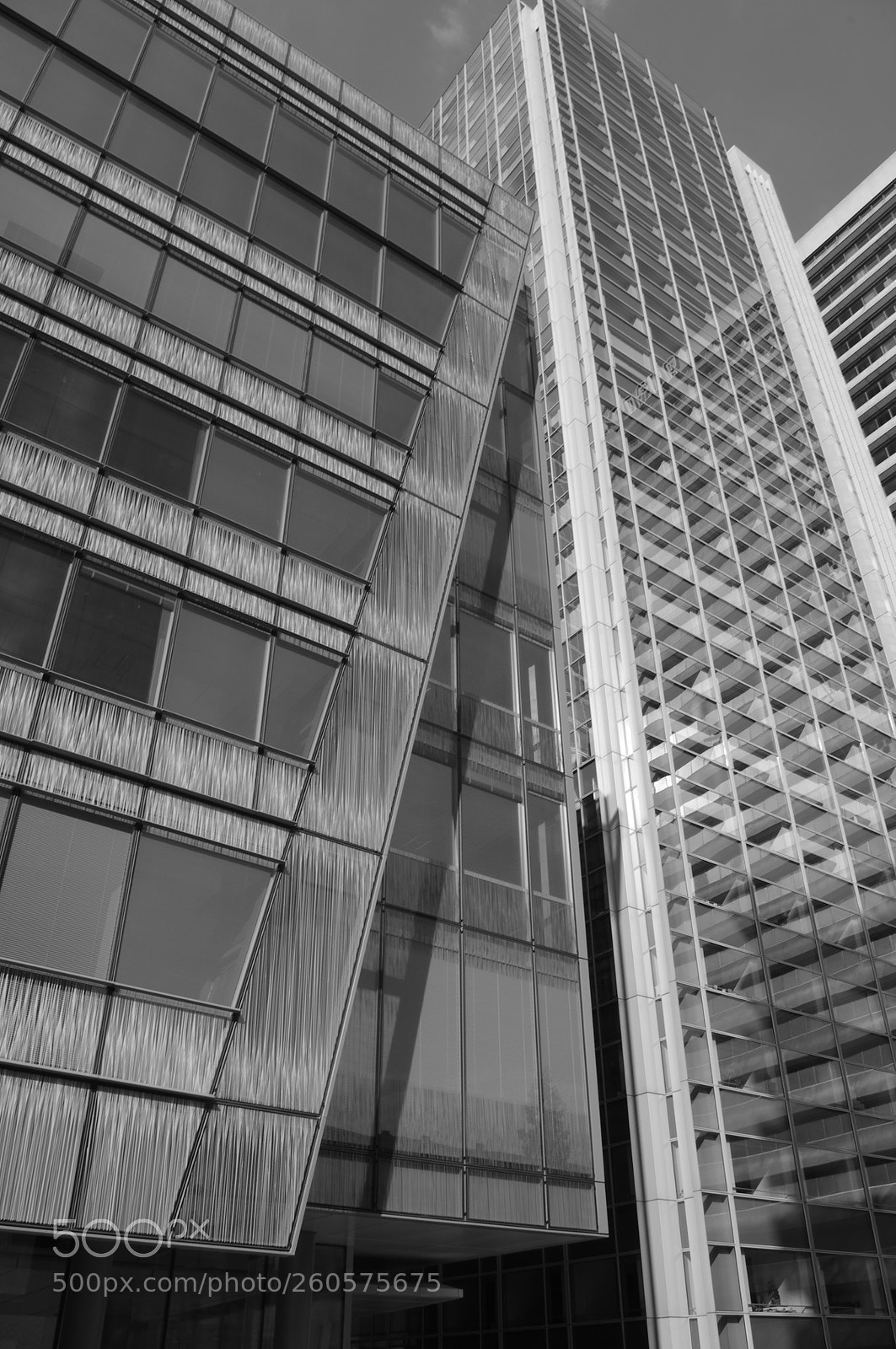 Pentax K-r sample photo. Segmentation photography