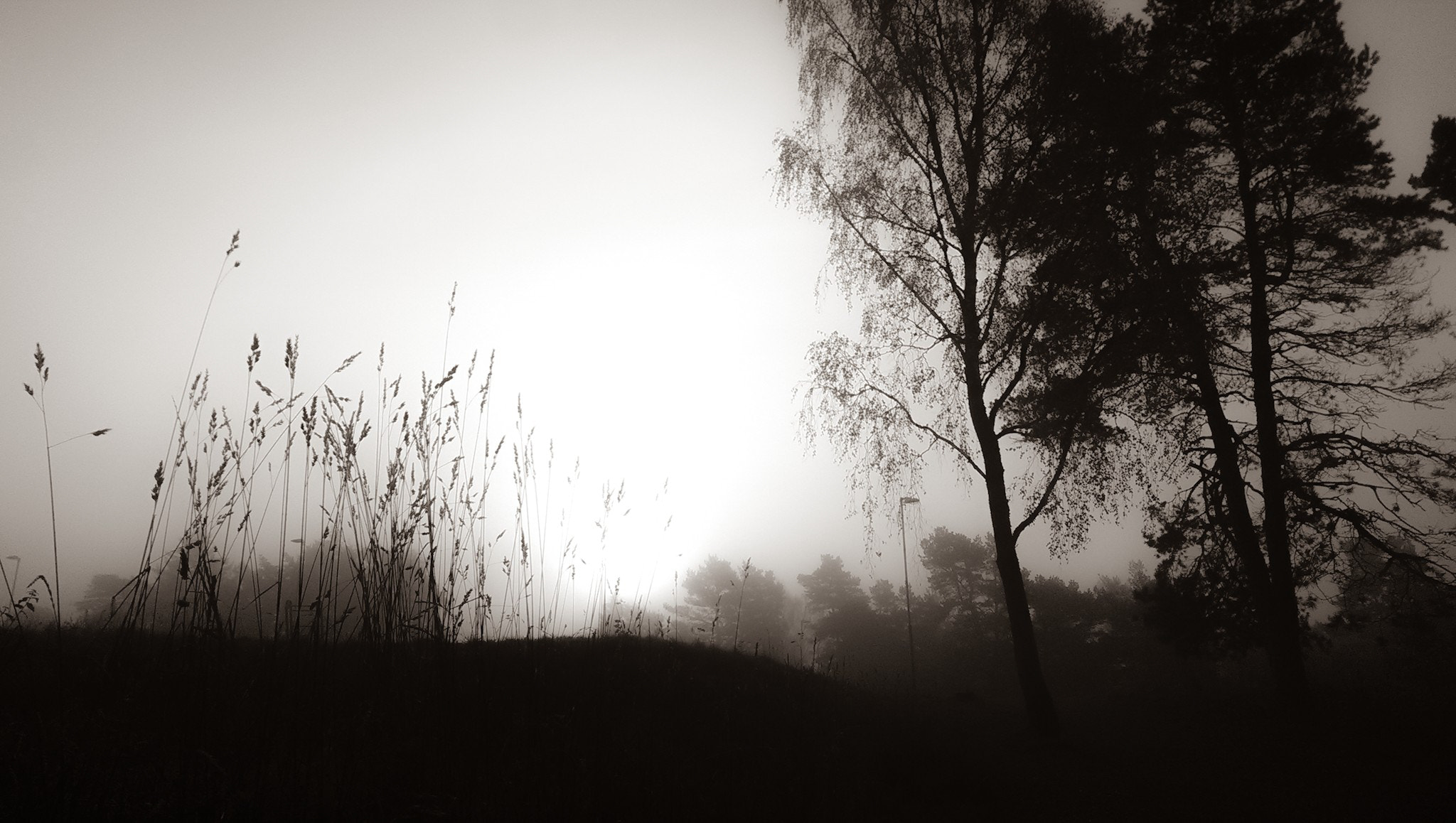 HTC ONE sample photo. Morninglight photography