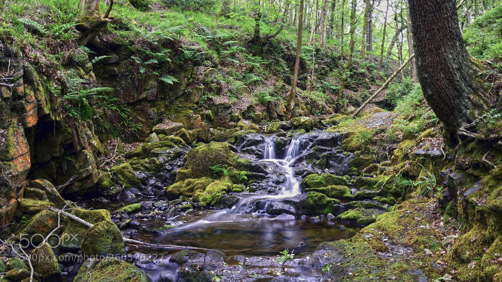 Nikon D800 sample photo. Waterfall in the forest photography
