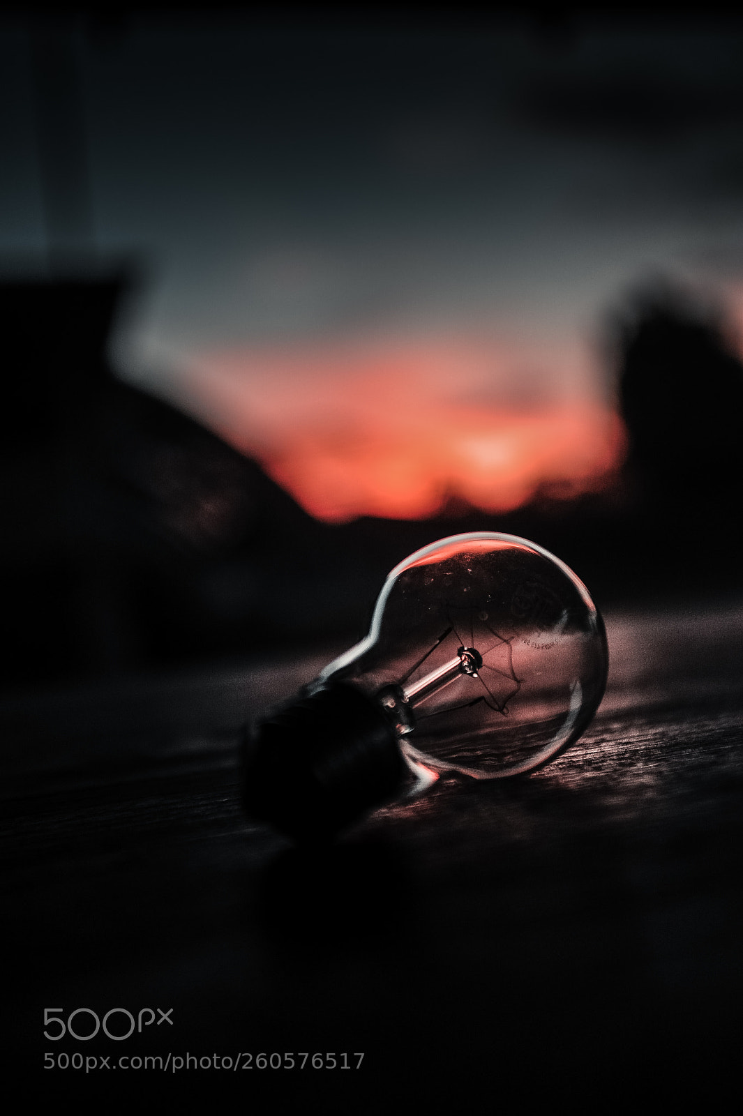 Nikon D700 sample photo. Lightbulb in a dramatic photography