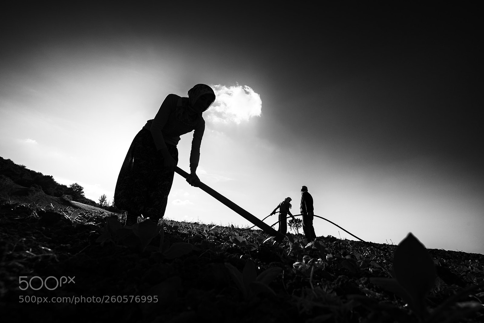 Sony a7 II sample photo. Agricultural workers photography