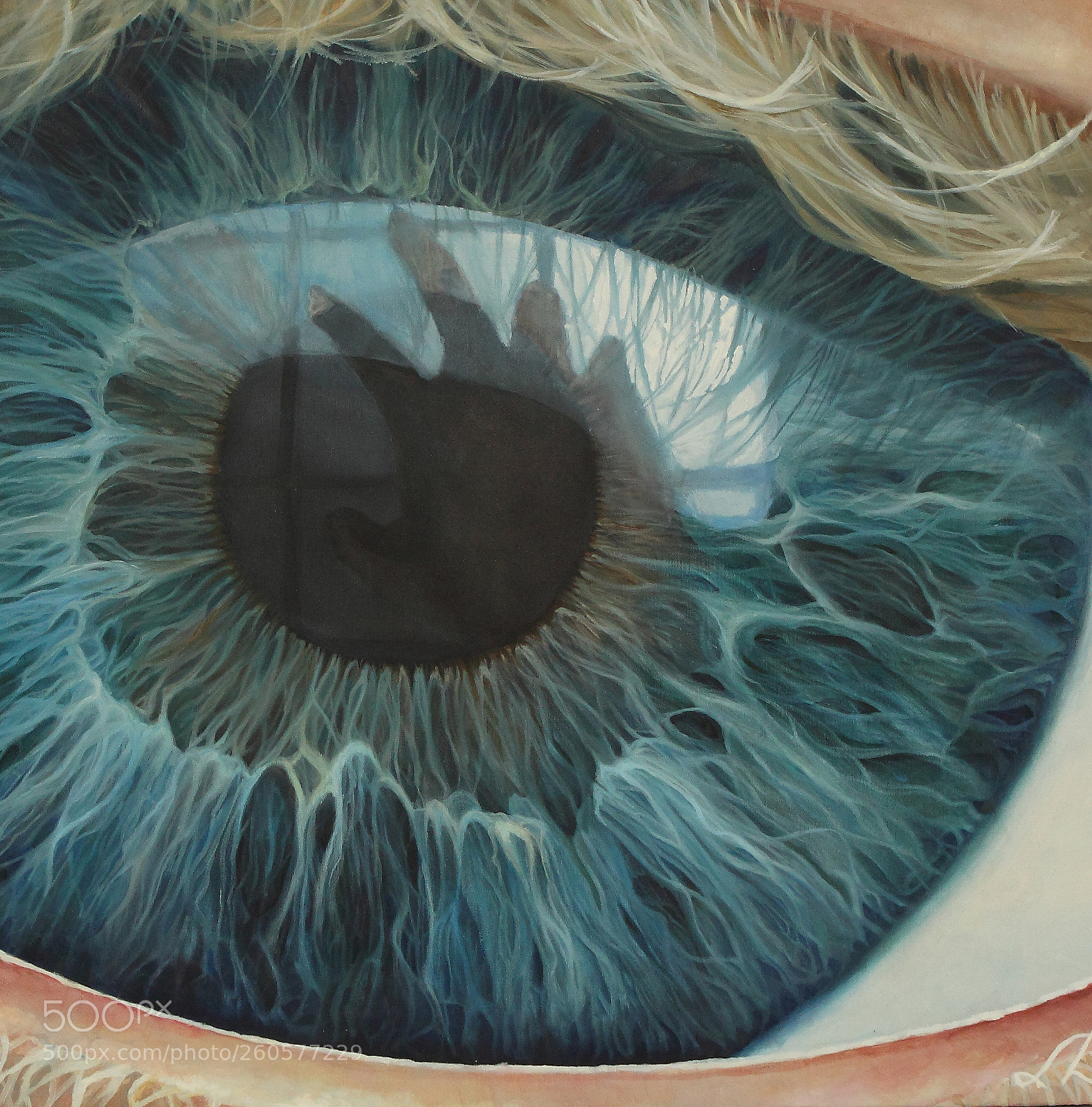 Canon EOS 500D (EOS Rebel T1i / EOS Kiss X3) sample photo. Human eye blue with photography