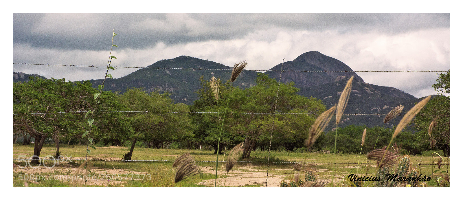 Nikon D7100 sample photo. Pedra do cachorro photography