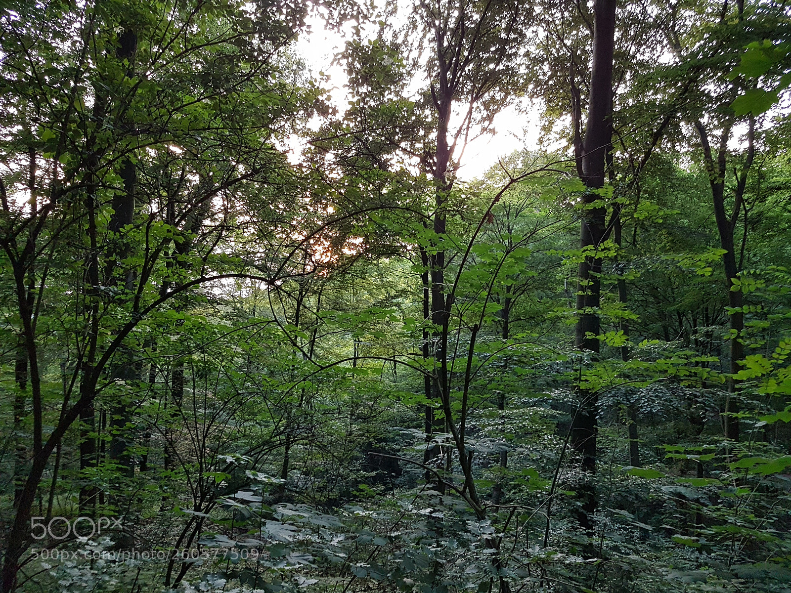 Samsung Galaxy S7 sample photo. Abenddämmerung photography