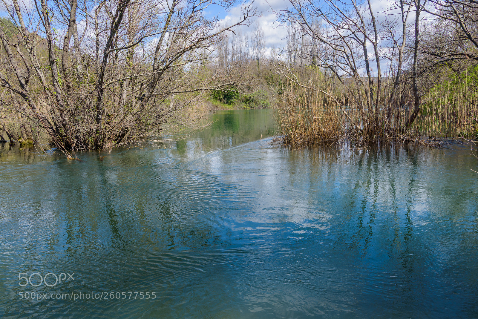 Nikon D750 sample photo. A pond? photography
