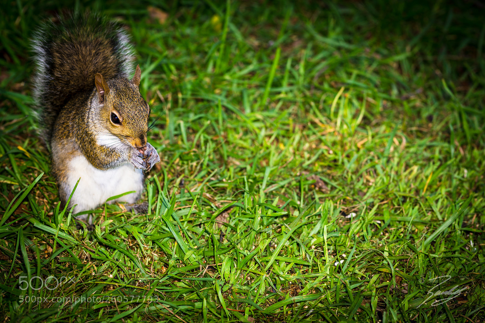Sony a6000 sample photo. Dinner time photography