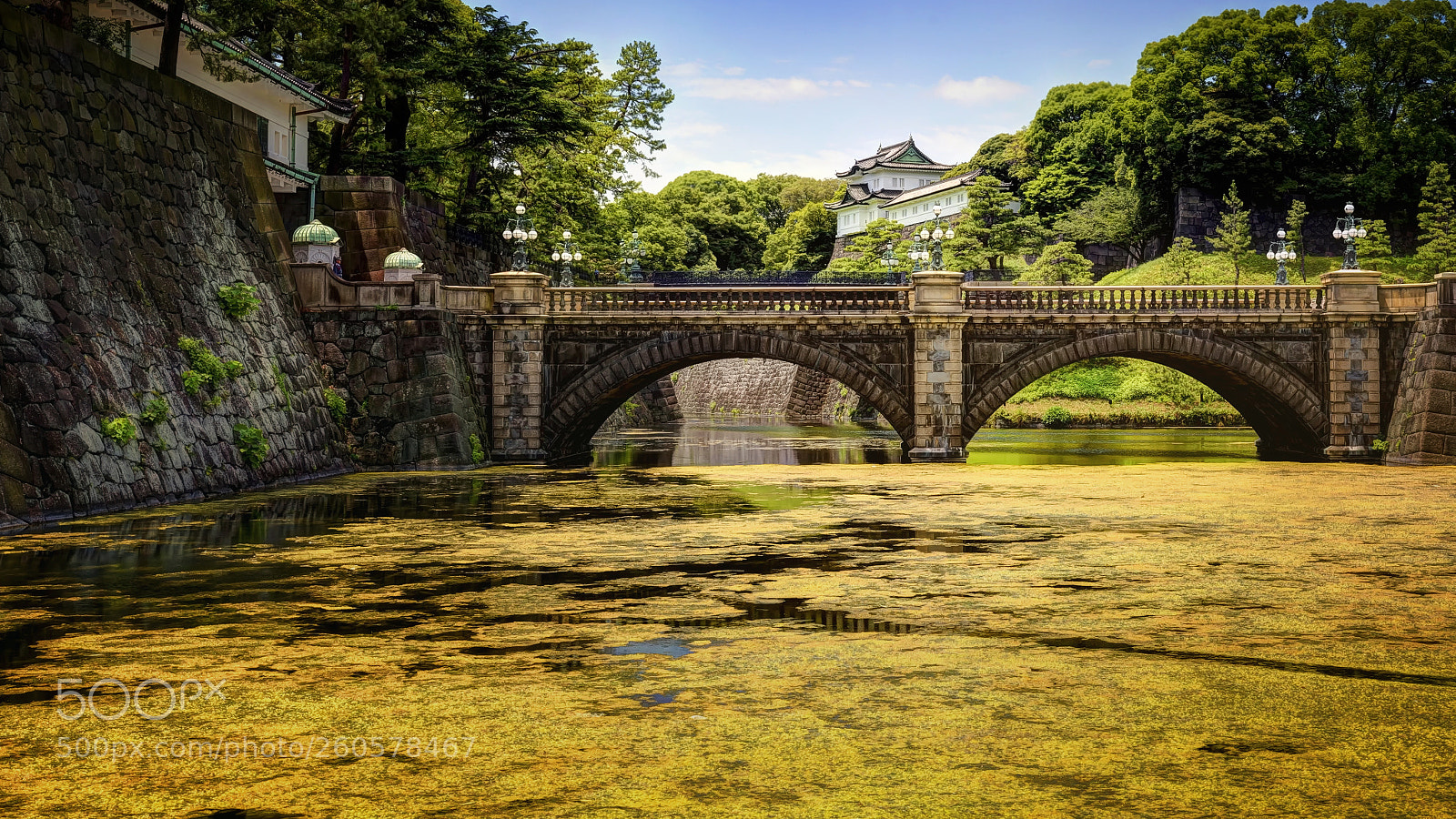 Nikon D610 sample photo. Palace and the lake photography
