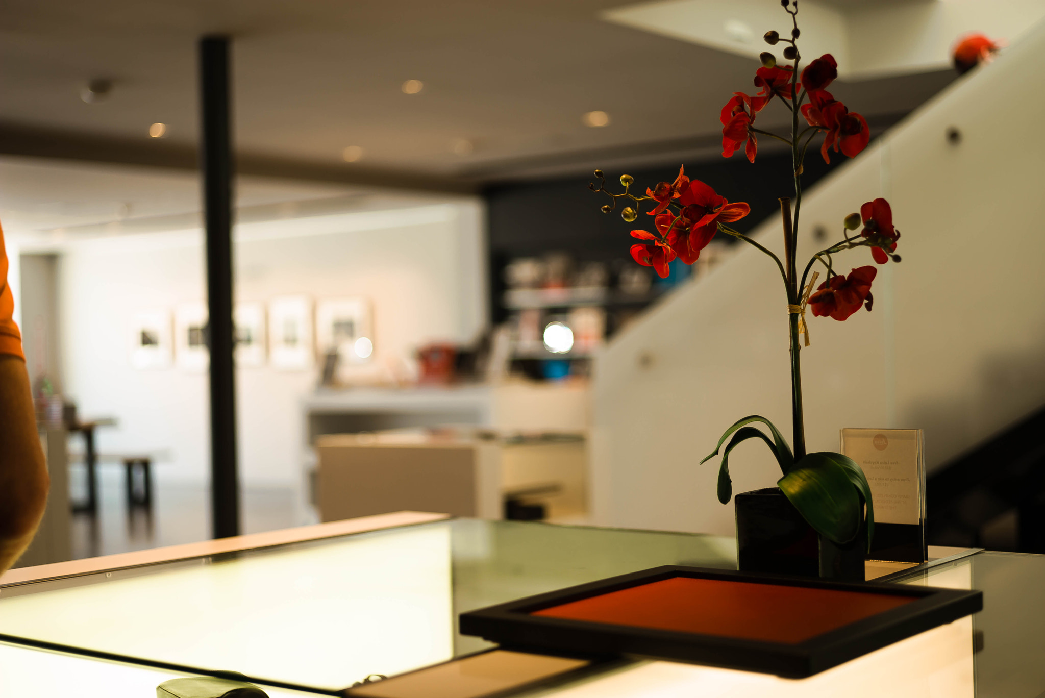 Leica M (Typ 240) sample photo. Life and beauty photography