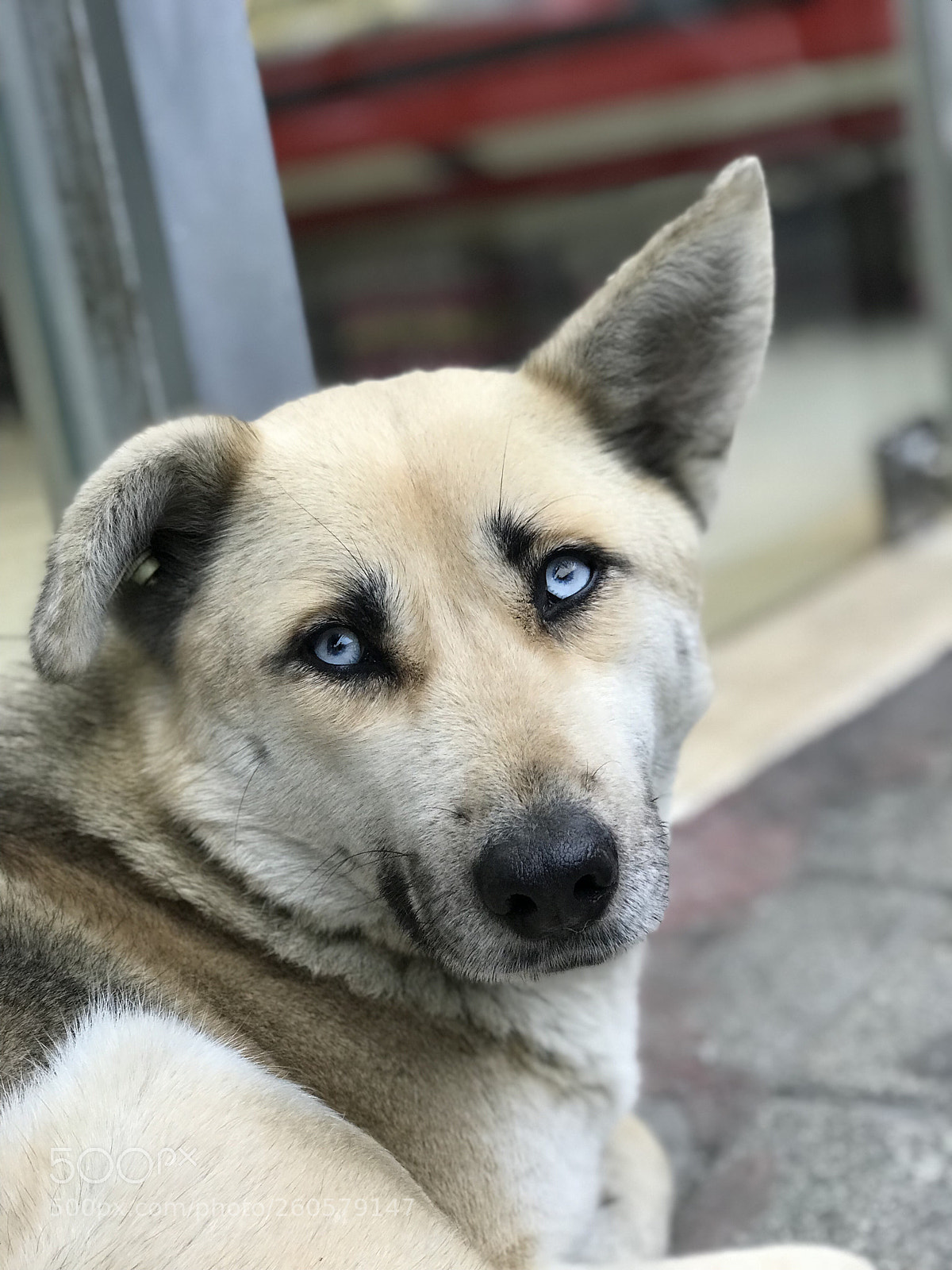 Apple iPhone 7 Plus sample photo. Untitled photography