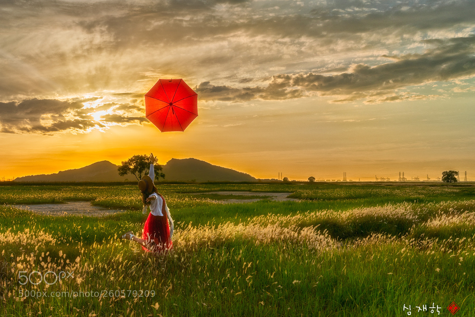 Sony a7R III sample photo. Go there photography