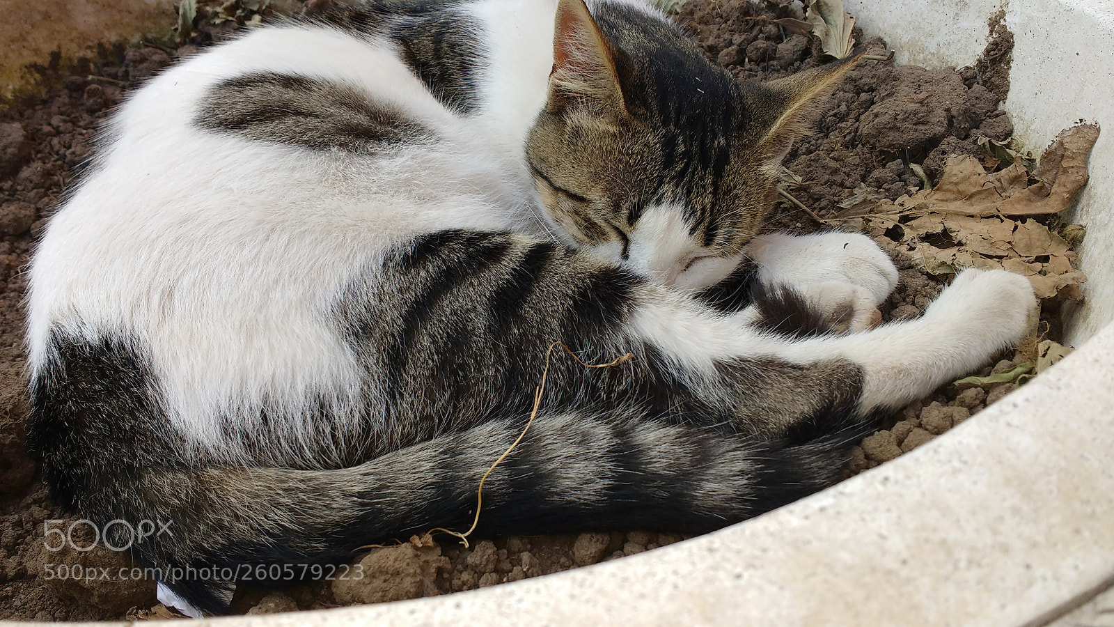 Motorola MotoG3 sample photo. Img ٢٠١٨٠٦٠٢ ١٦١٤٥٣٦٥١ photography