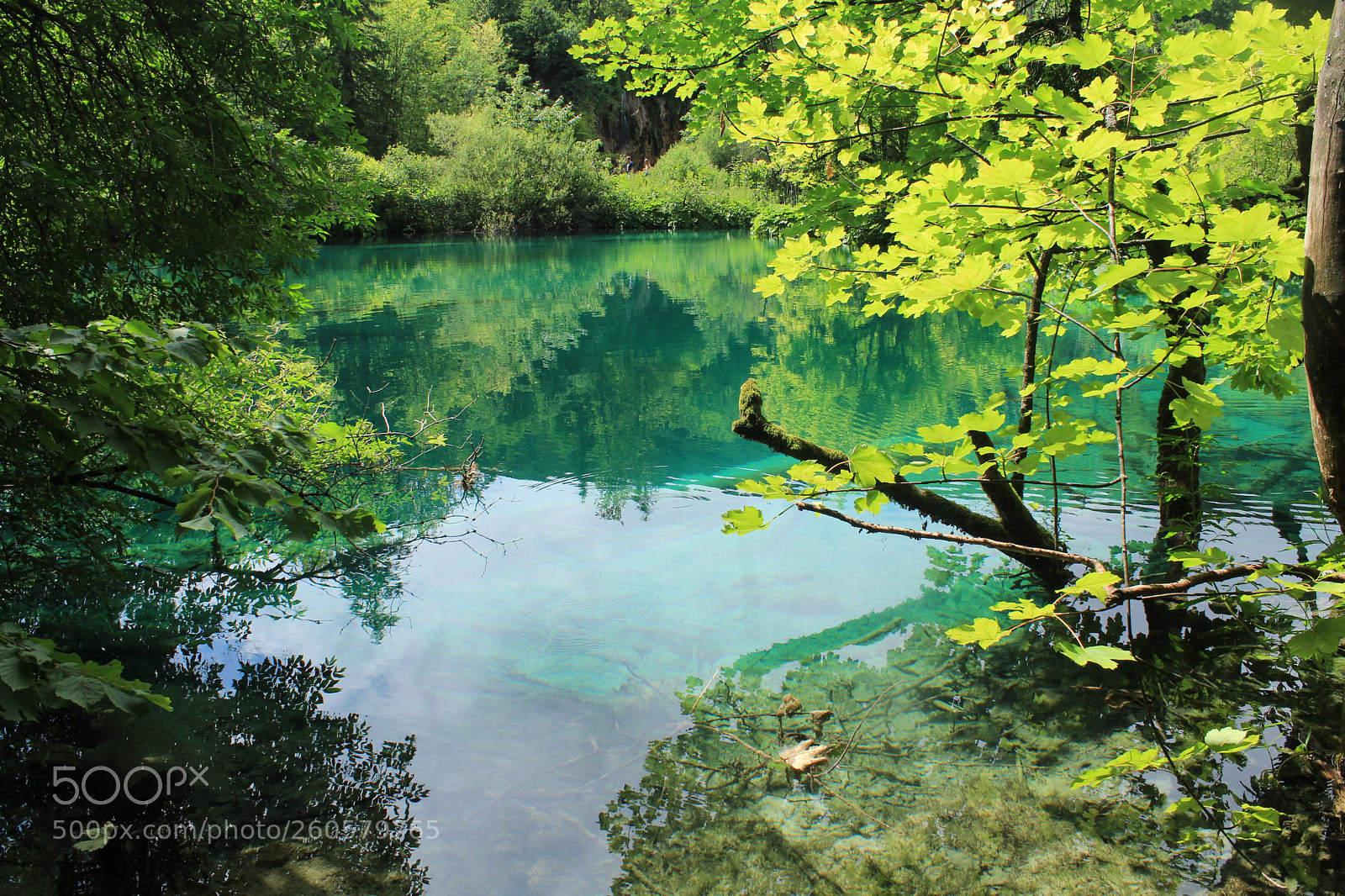 Canon EOS 1300D (EOS Rebel T6 / EOS Kiss X80) sample photo. Croatie lac de plitvice photography