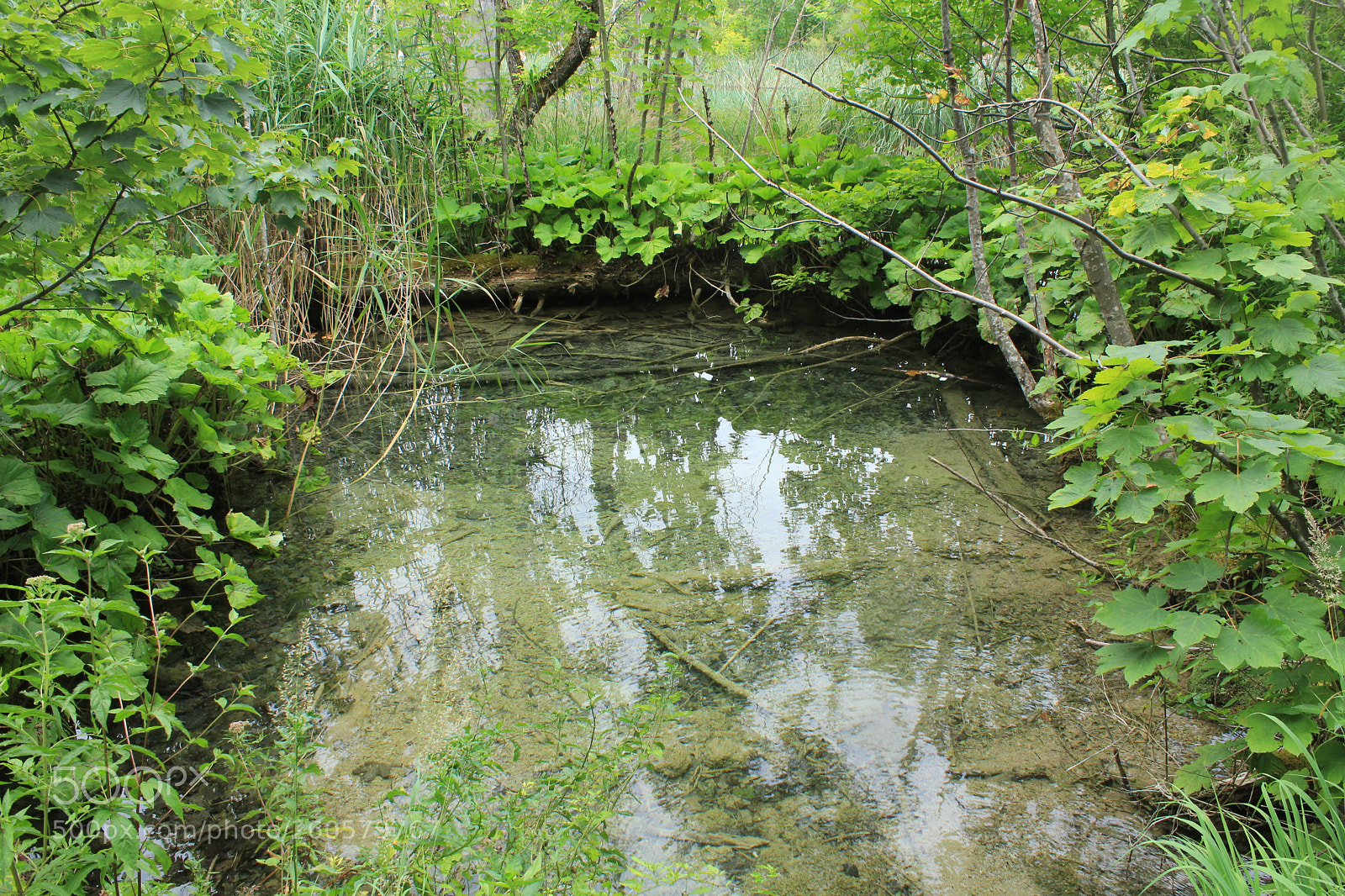 Canon EOS 1300D (EOS Rebel T6 / EOS Kiss X80) sample photo. Croatie lac de plitvice photography