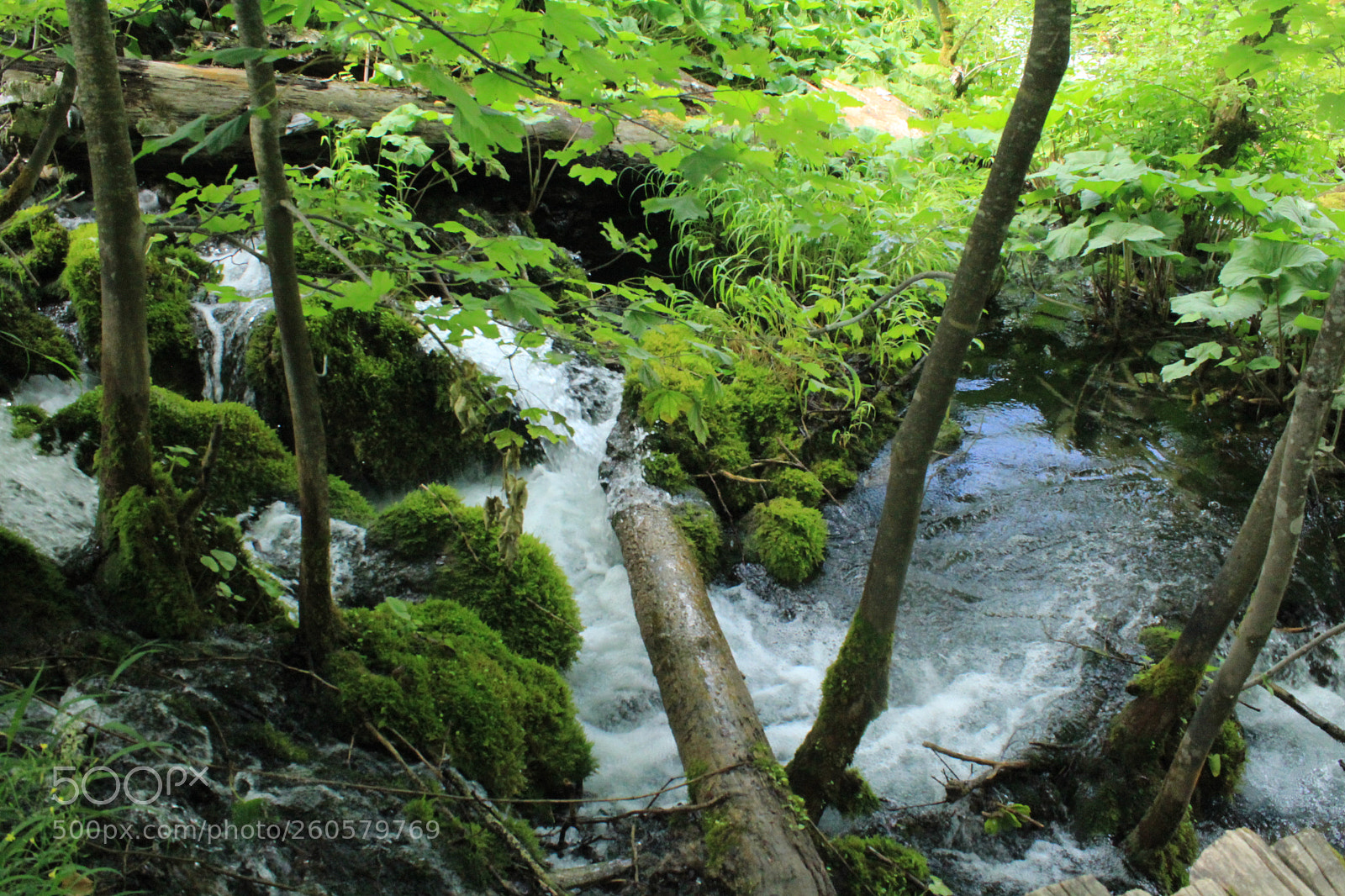 Canon EOS 1300D (EOS Rebel T6 / EOS Kiss X80) sample photo. Croatie lac de plitvice photography