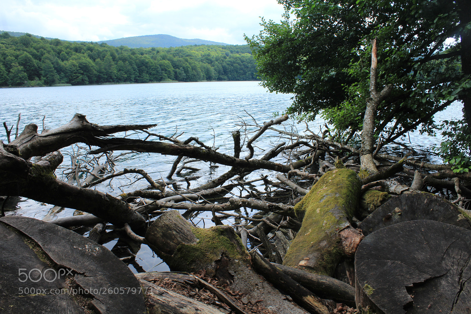 Canon EOS 1300D (EOS Rebel T6 / EOS Kiss X80) sample photo. Croatie lac de plitvice photography