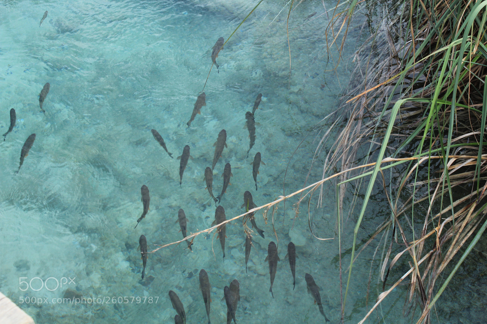 Canon EOS 1300D (EOS Rebel T6 / EOS Kiss X80) sample photo. Lac de plitvice photography
