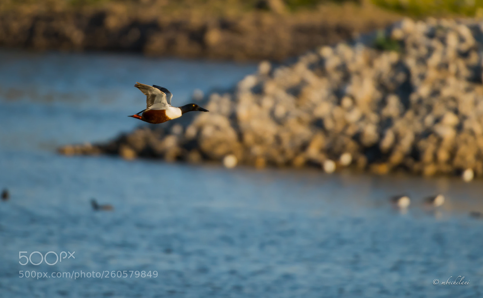 Nikon D810 sample photo. Mbs photography