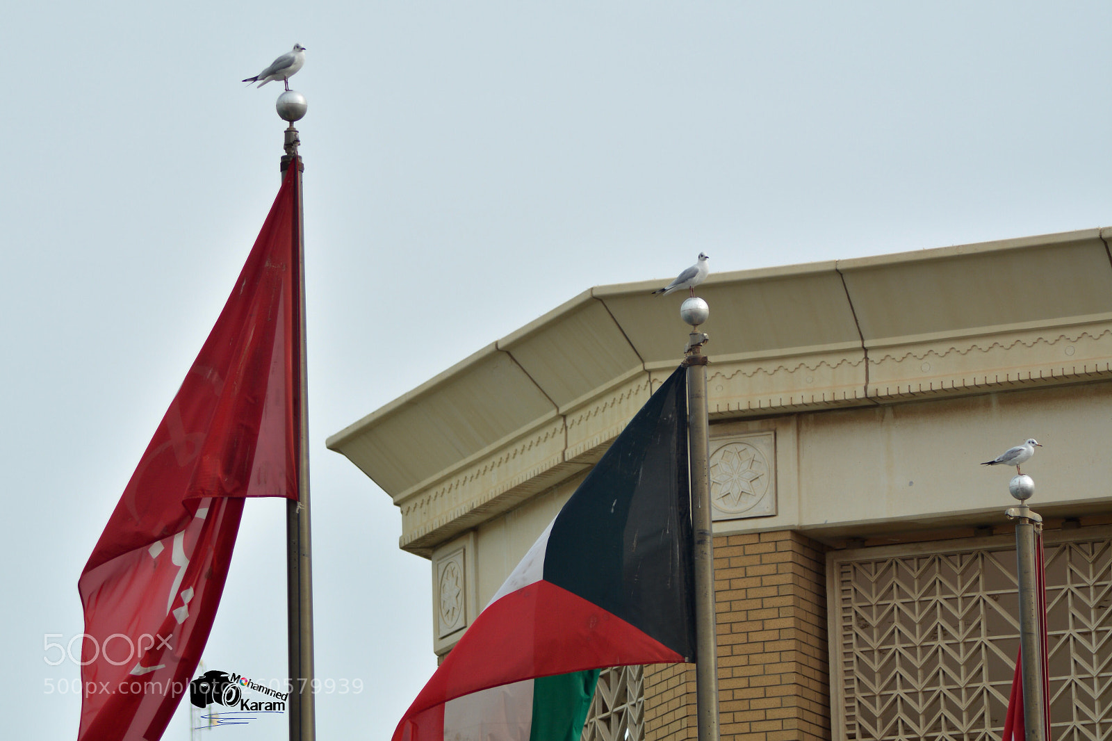 Nikon D7100 sample photo. Untitled photography