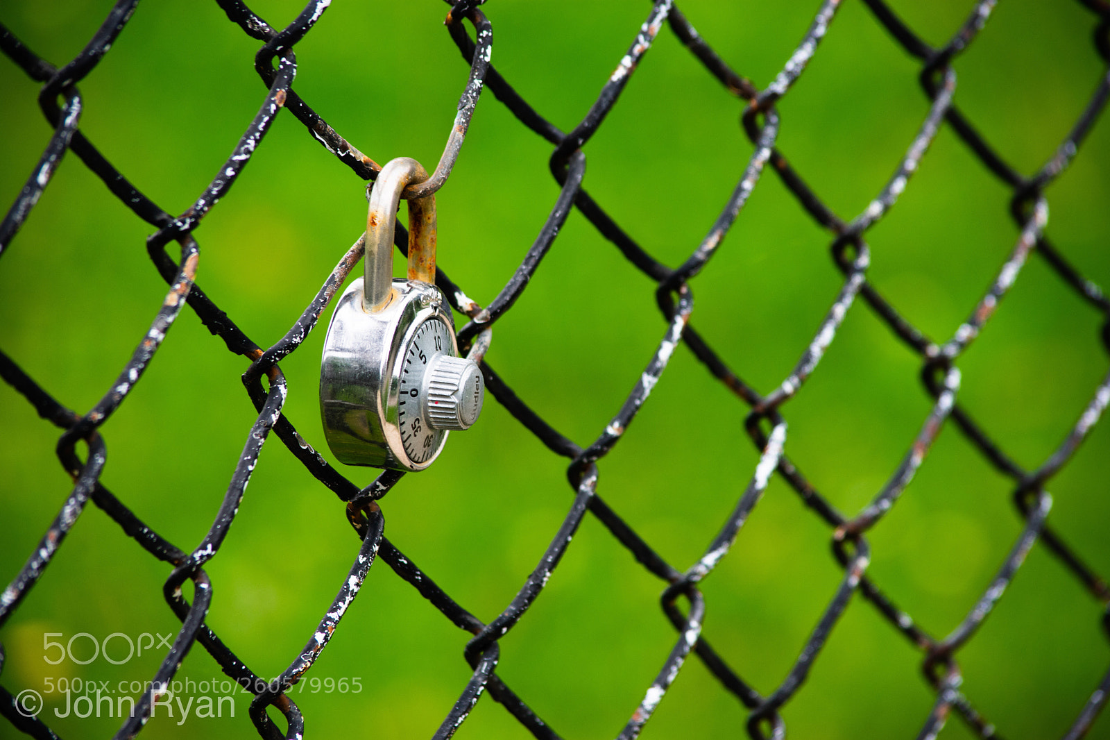 Nikon D3400 sample photo. Untitled photography