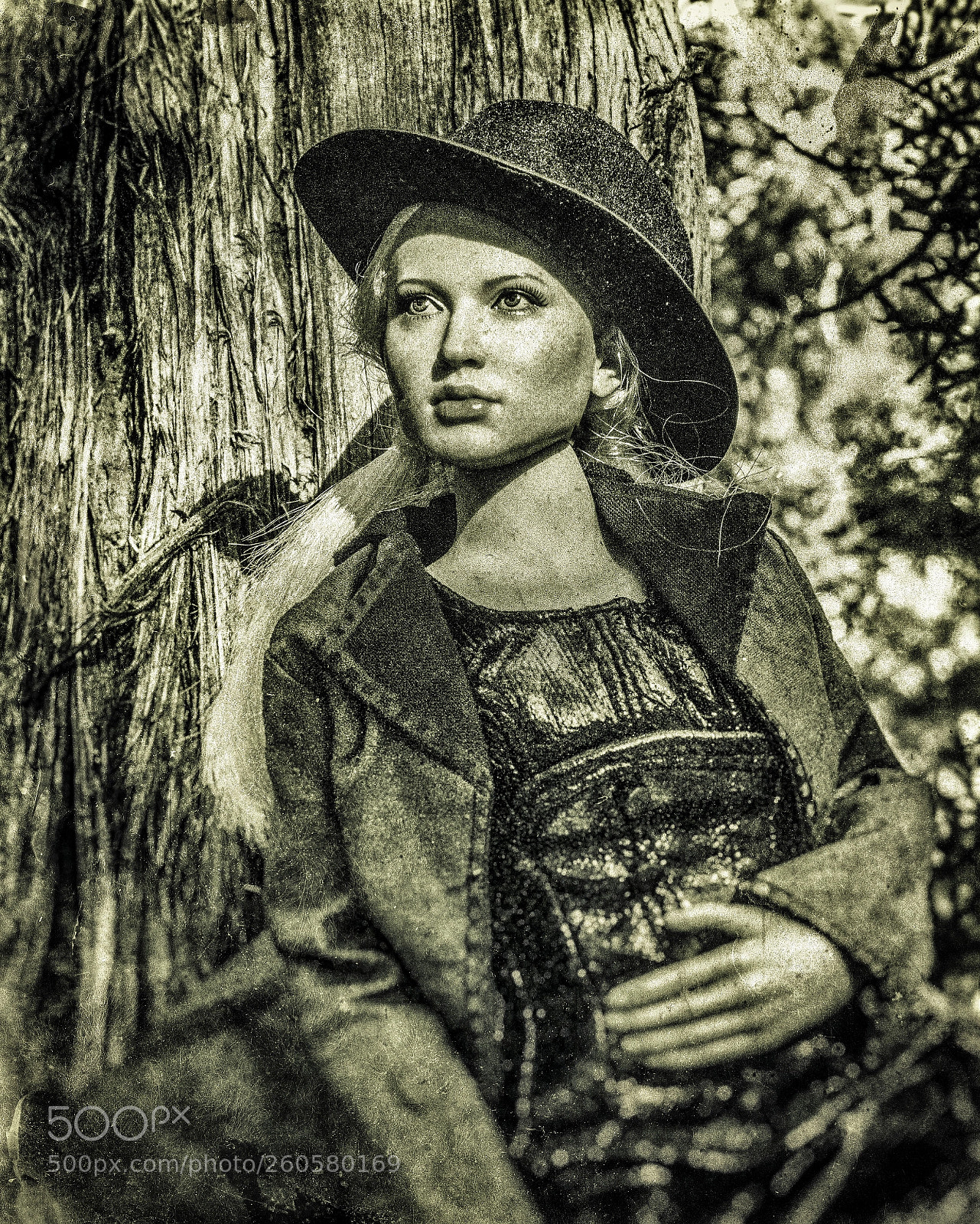 Sony a6000 sample photo. Madonna of the frontier photography