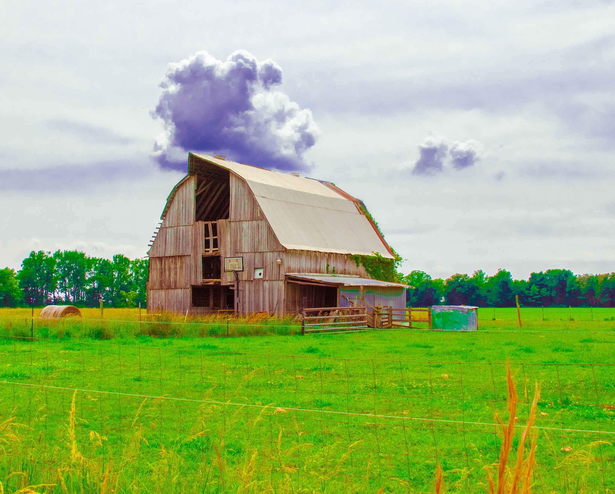 Canon EOS 200D (EOS Rebel SL2 / EOS Kiss X9) sample photo. The barn photography