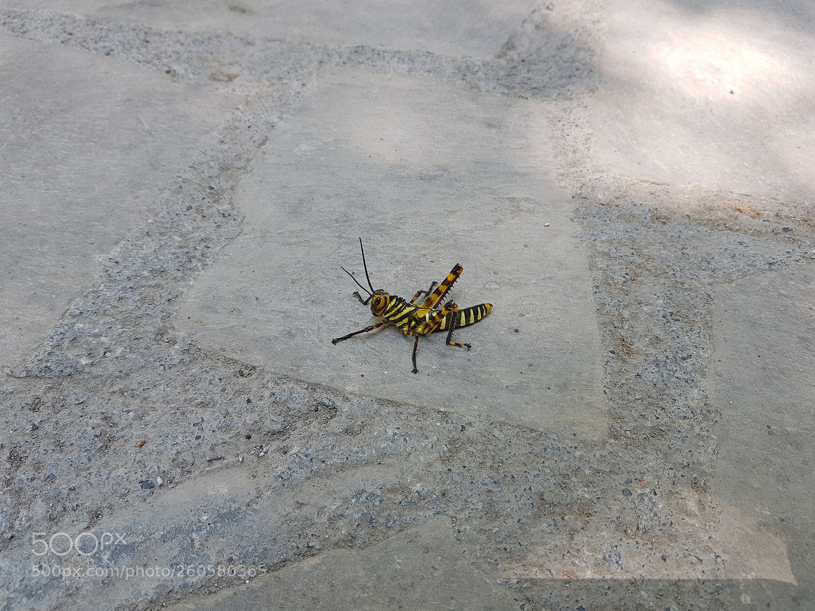 Samsung Galaxy S8+ sample photo. Untitled photography