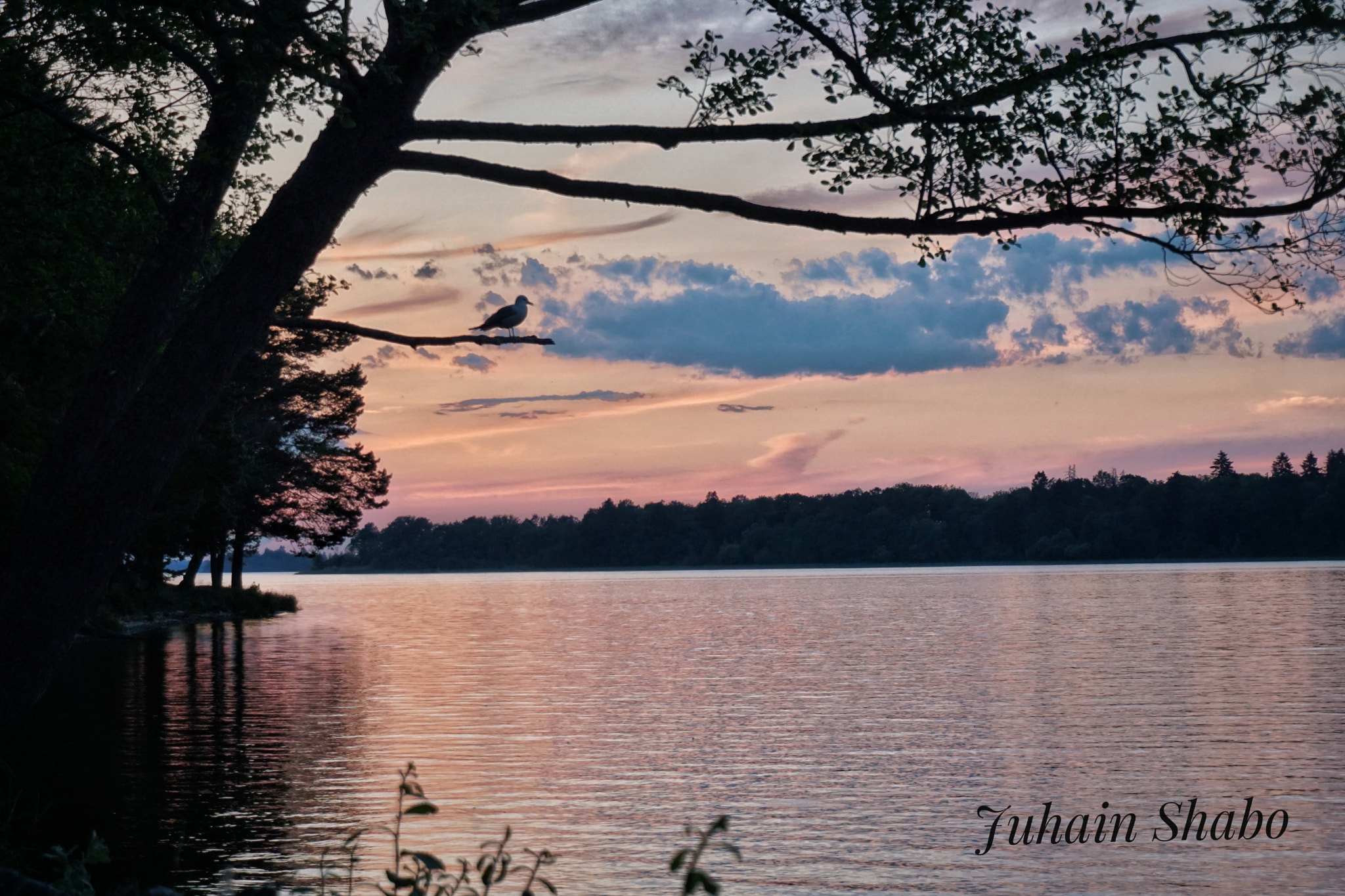 Sony a5100 sample photo. Magnificent photography