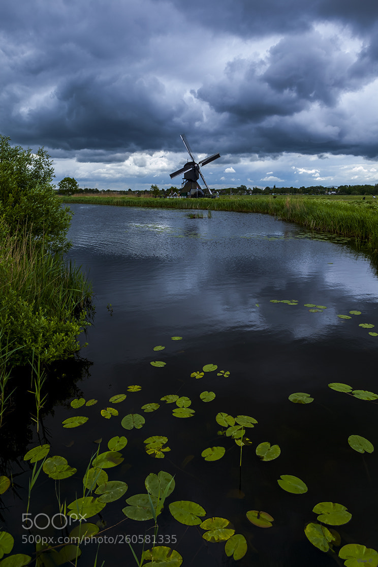Canon EOS 5D Mark II sample photo. Kinderdijk photography