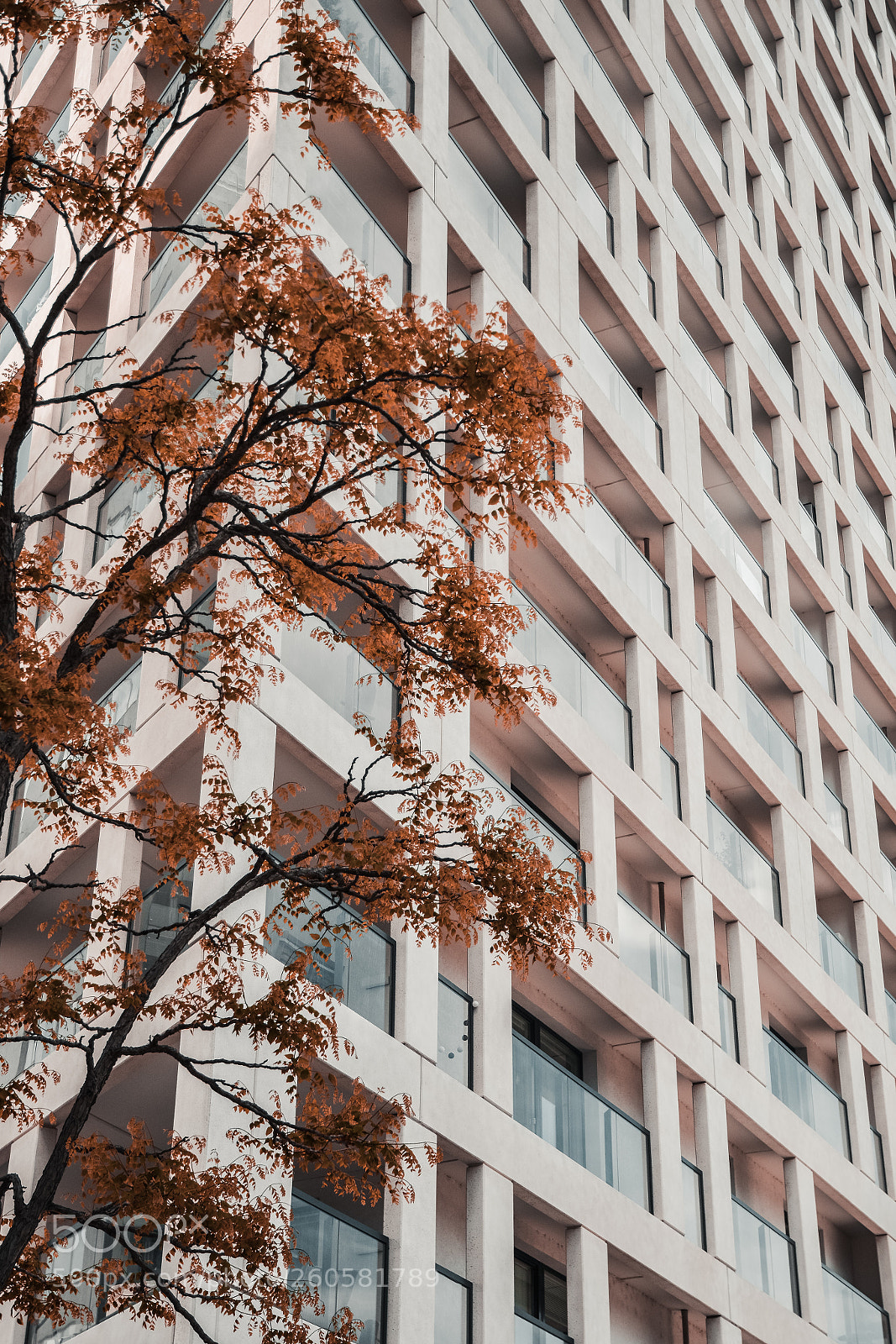 Nikon D7100 sample photo. Modern house with orange photography