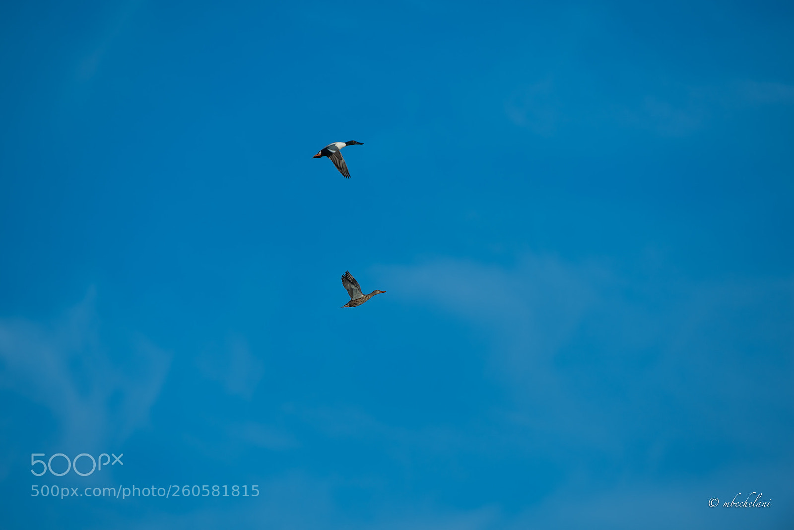 Nikon D810 sample photo. Mbs photography