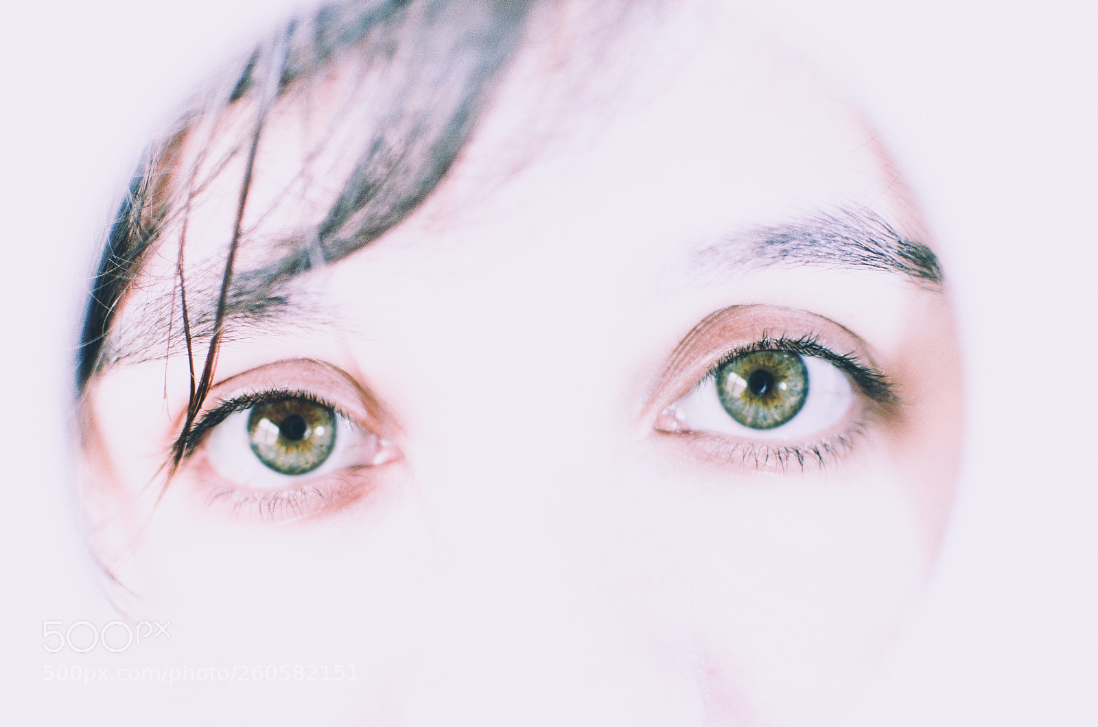 Nikon D5100 sample photo. Tubeyes photography