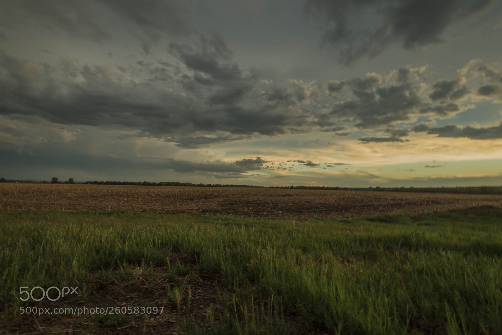 Canon EOS 6D sample photo. On the horizon photography