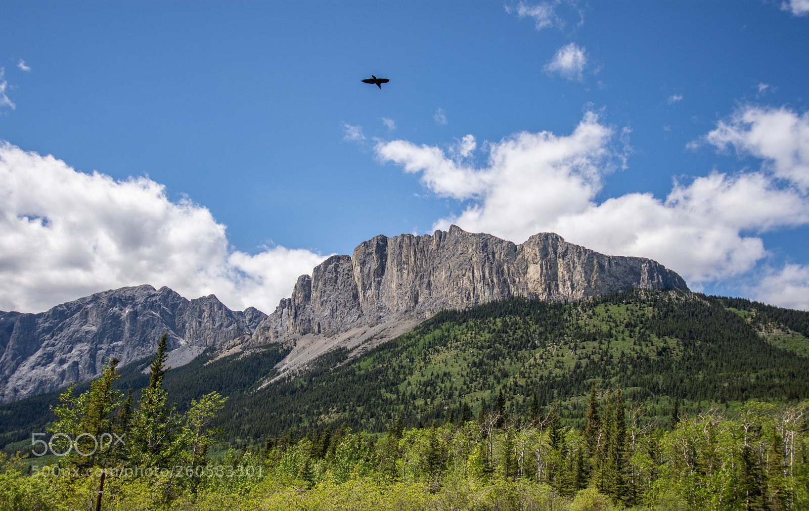 Nikon D7200 sample photo. Rockies photography